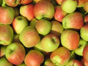 Продажа свежих яблок